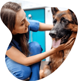 rover protect homepage image of human and pet
